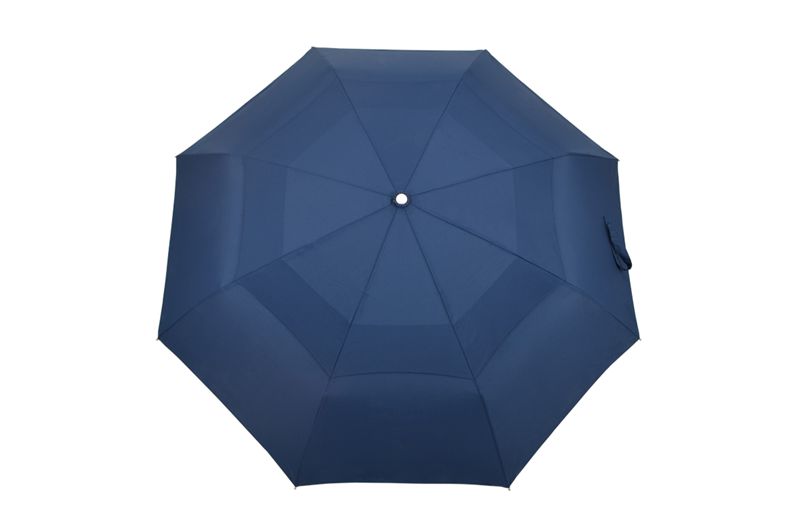 双层成人桃子视频网站在线看自开收伞  yk-SJZD111