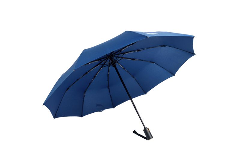 10骨全自动成人桃子视频网站在线看伞 yk-SJZD112